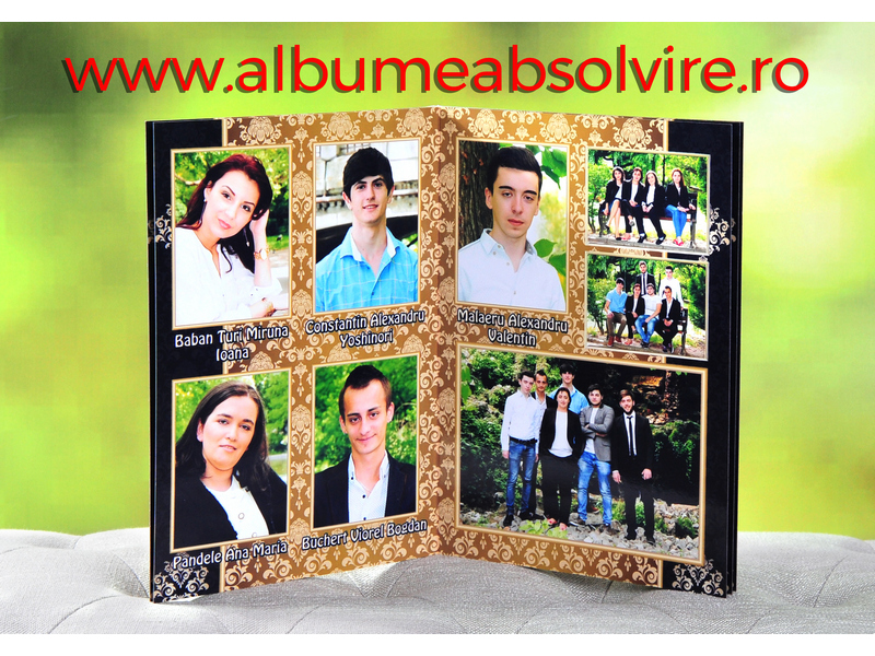 <h2>Tablouri Absolvire Stei / Albume Absolvire in Stei | Comanda Albume Absolvire in Stei</h2>